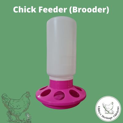 Brooder Bundle  -  NO AUST POST DELIVERY – Image 4