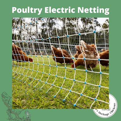 Poultry Electric Netting - NO AUST POST DELIVERY – Image 2