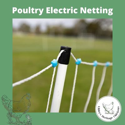 Poultry Electric Netting - NO AUST POST DELIVERY – Image 3