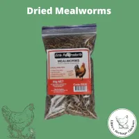 Dried Mealworms - Elite Pet Products – Image 1