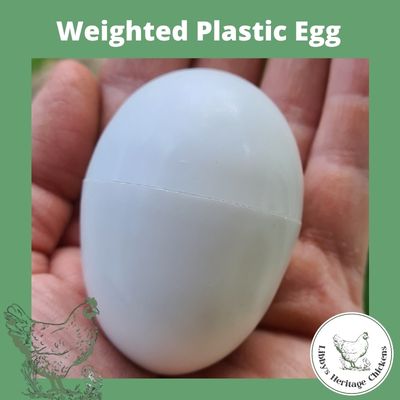 Weighted Nest Egg – Image 4