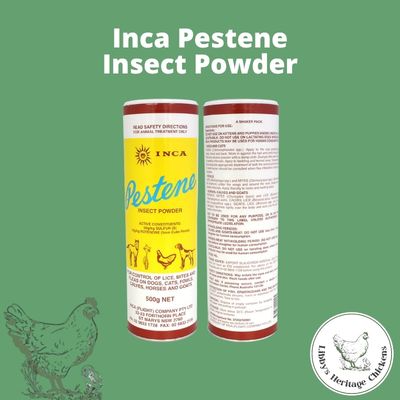 Inca Pestene Insect Powder – Image 1