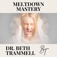 Meltdown Mastery – Image 1