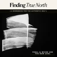 Finding True North – Image 1