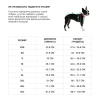 GF Pet Літня футболка для собак з принтом, синя – Image 6