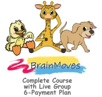 Complete Course with 2 Live Monthly Groups 6-Payment Plan – Image 1