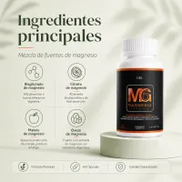 Magnesio Premium - Fórmula Avanzada – Image 4