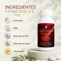 Glucosamina + Condroitina + MSM – Fórmula Articular Avanzada – Image 2