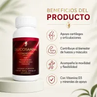 Glucosamina + Condroitina + MSM – Fórmula Articular Avanzada – Image 3