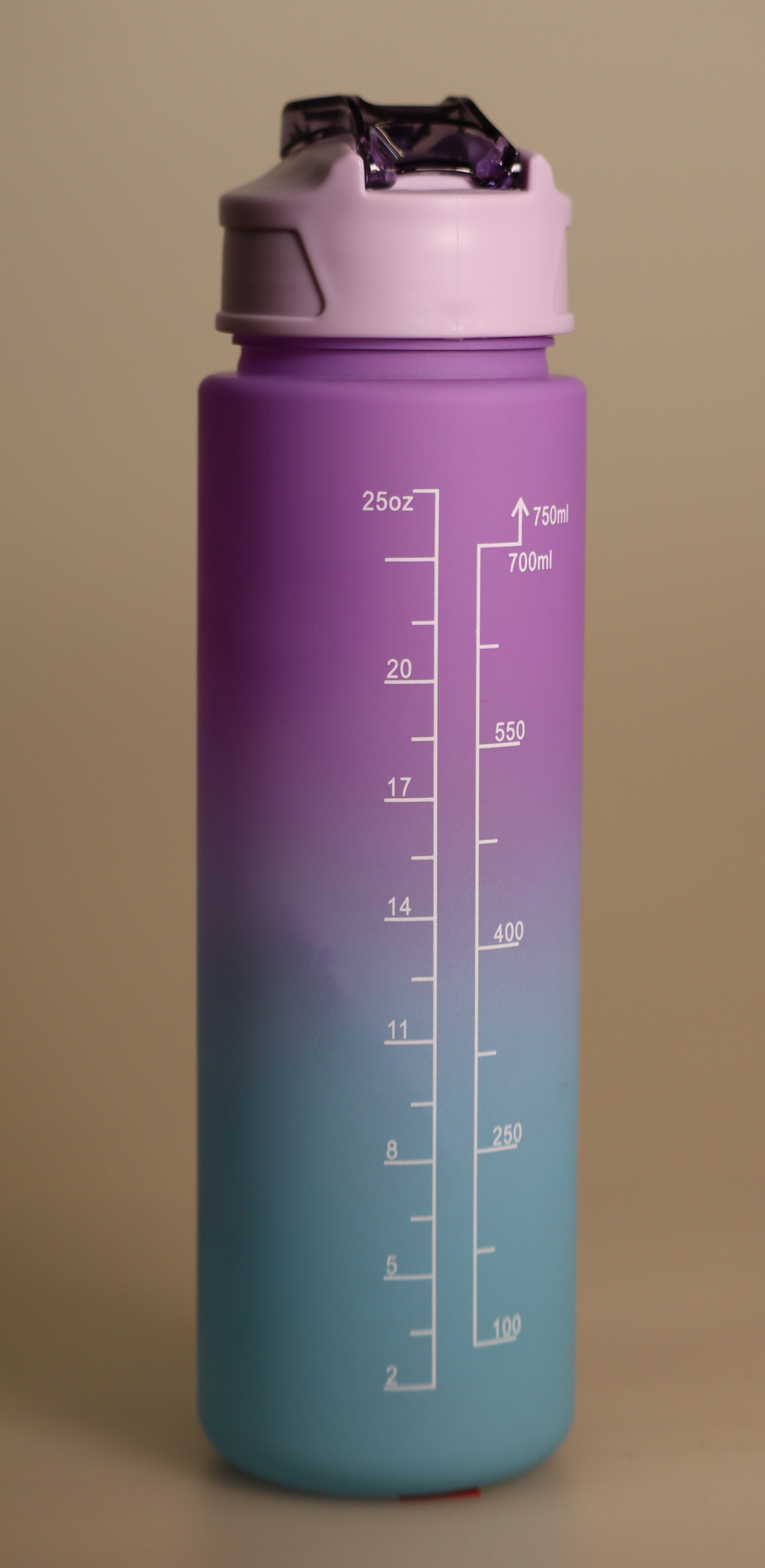 25 oz Motivational Drinking Medium Bottle – Image 2
