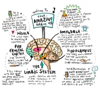 Rewire For Success In 12 Easy Steps – Image 2
