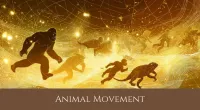 Animal Movement — Winter 2027 (Mondays 8:00 AM PT) – Image 1