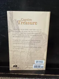 Captive Treasure by Milly Howard – Image 2