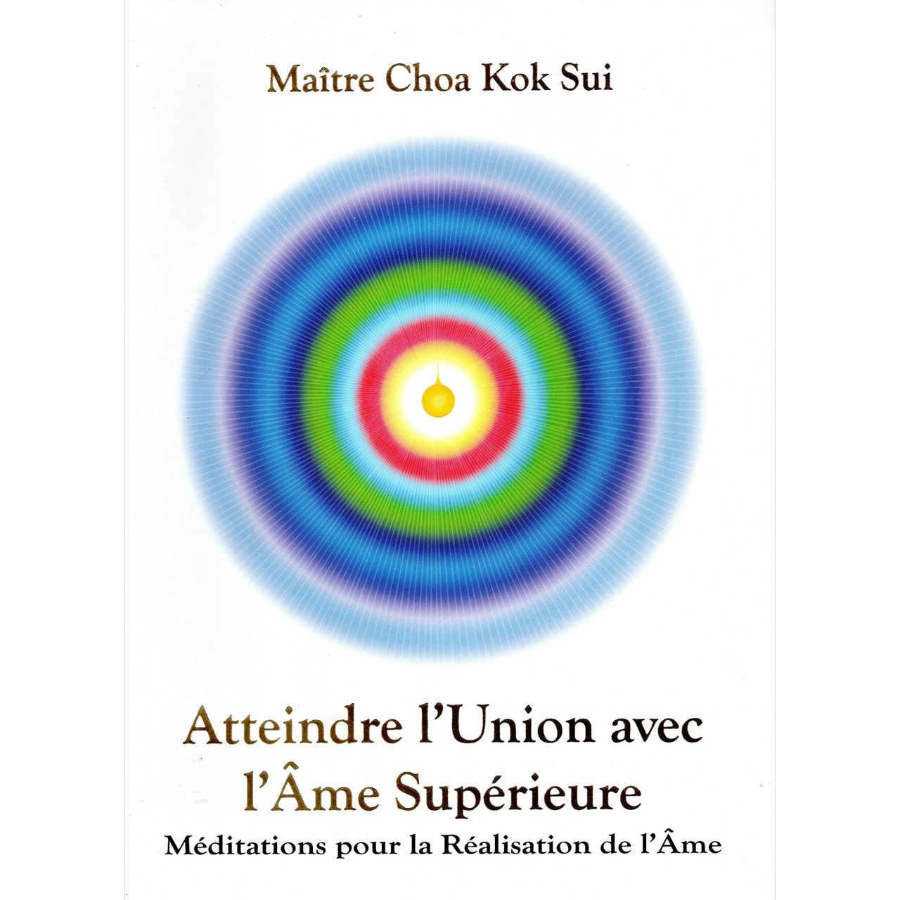 Attendre l'Union avec l'Âme Supérieure – Afbeelding 1