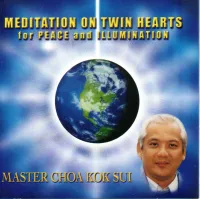 Audiofile - Twin Hearts Meditation in English – Afbeelding 1