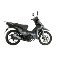 MOTO VICTORY ADVANCE R 125 – Image 2