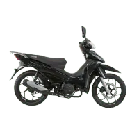 MOTO VICTORY ADVANCE R 125 TRAKKU – Imagen 2