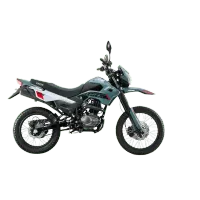 MOTO VICTORY MRX 125 TRAKKU – Imagen 6