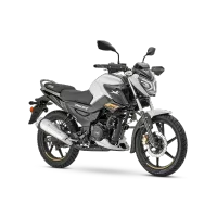RAIDER 125 FI  – RAIDER 125 FI GRIS CALIFORNIA 2027