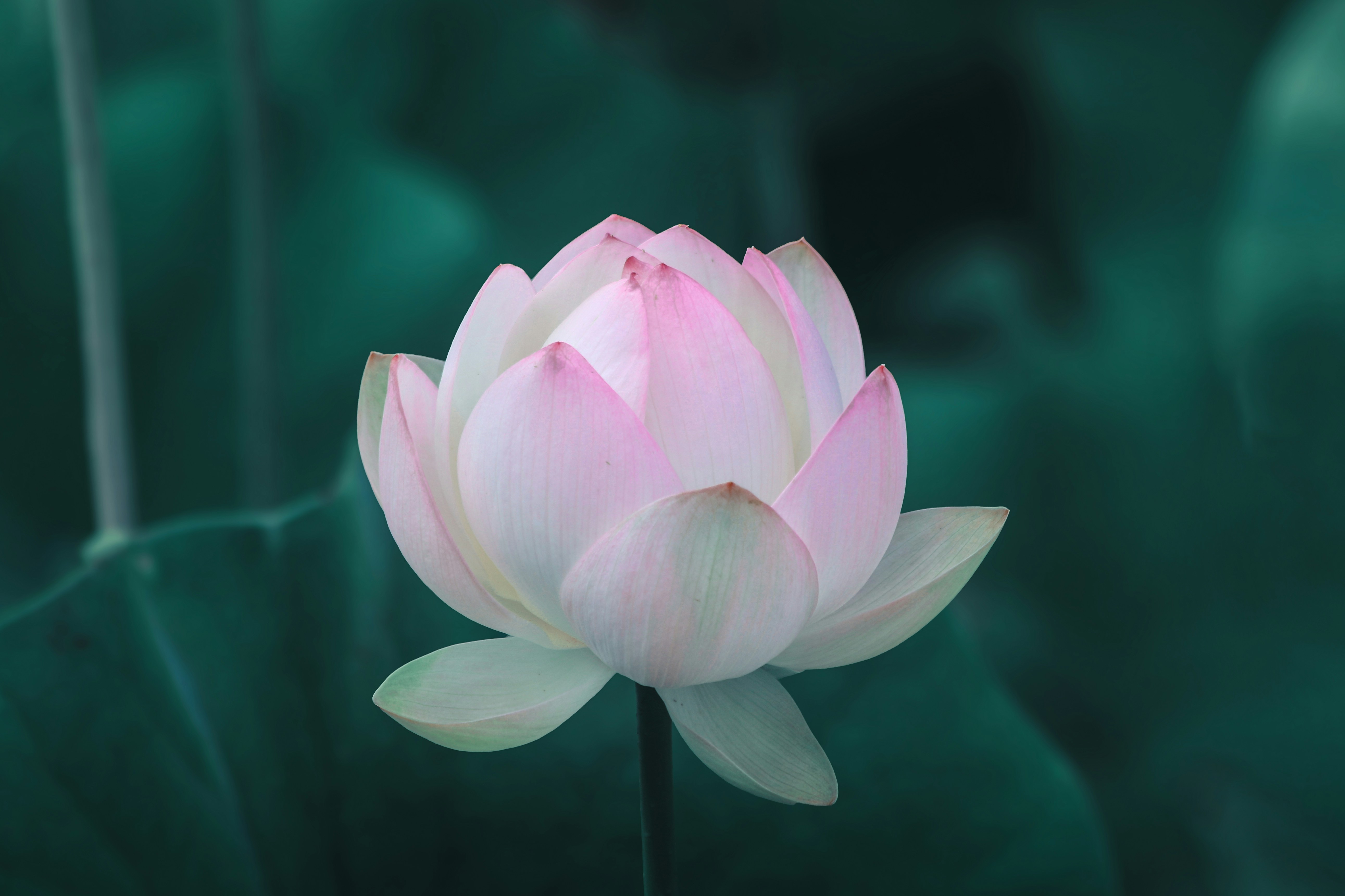1:1 Spiritual Guidance – Image 1