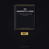 DIY Bankruptcy Guide – Image 2