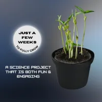 Astro Farmer | Lunar Soil STEM Experiment Kit for Kids, Students & Educators (International Version) – Image 5