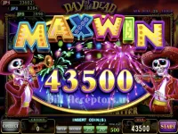 Day of the dead by IGS – Image 7