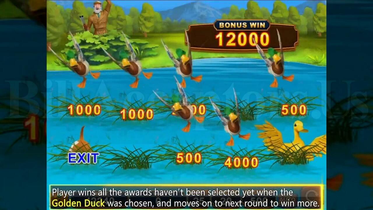 Jackpot Duck by Borden – Image 11