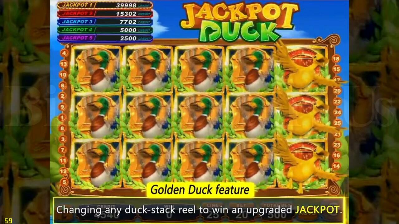 Jackpot Duck by Borden – Image 7