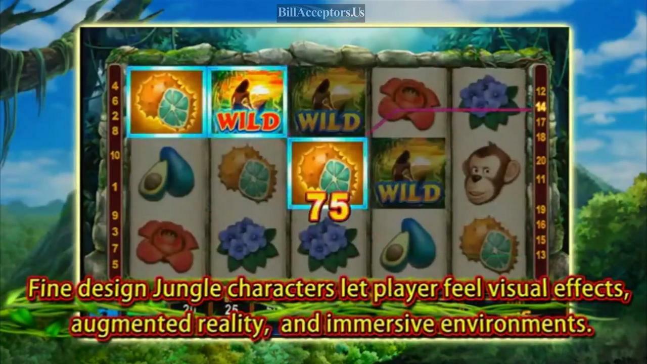 Tarzan Multiplayer Linking/Slave Board by Borden – Image 2