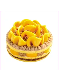 Tropical Mango Dream – Image 1