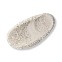 ACTIVE EXFOLIANT POWDER – Image 2