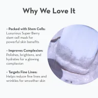 Patagonia Berry Stem Cell Mask – Image 3