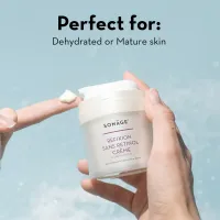 Refixion Sans Retinol Crème – Image 7