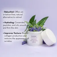 Refixion Sans Retinol Crème – Image 5
