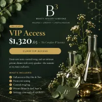 B3 VIP Access – Image 1