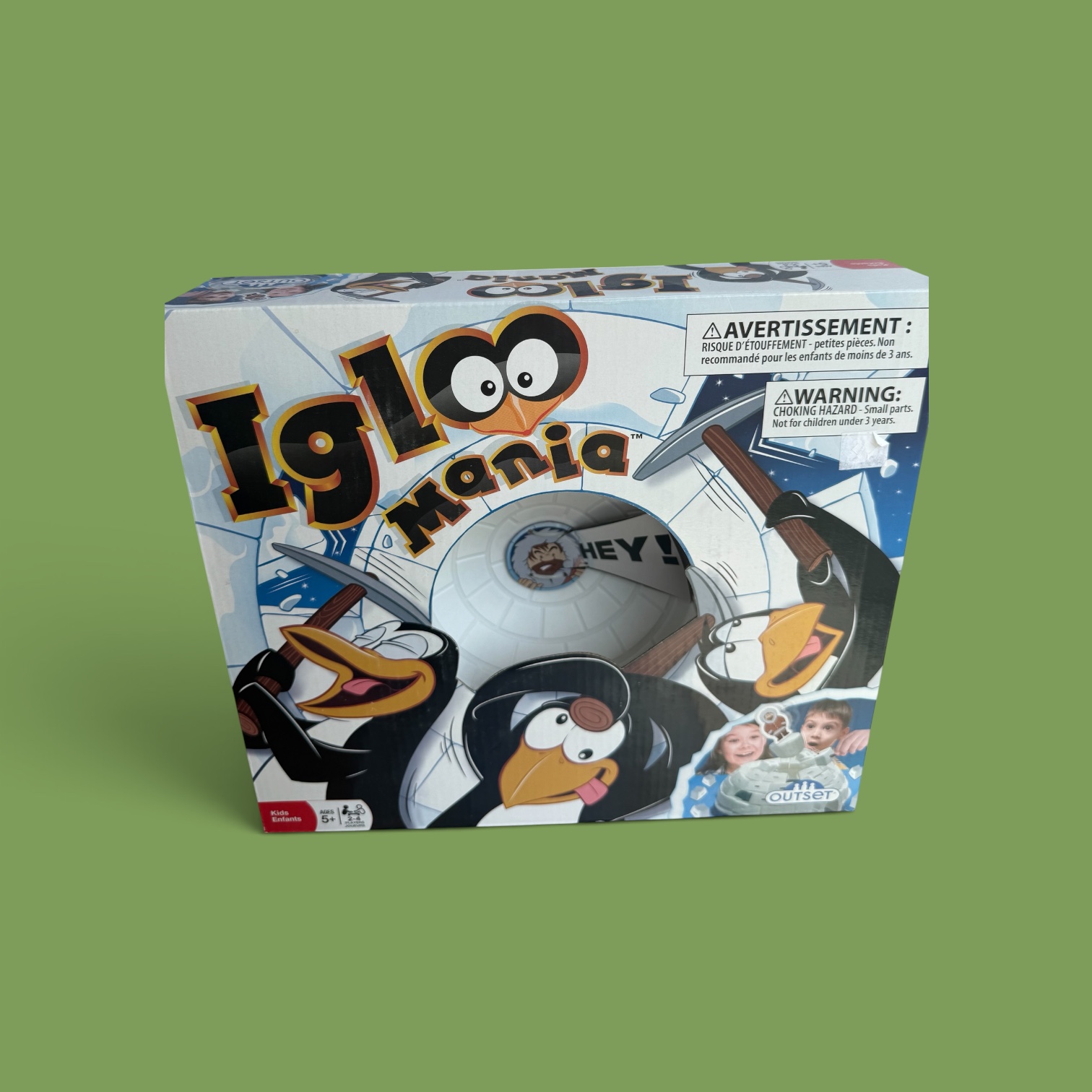 Igloo Mania – Image 1