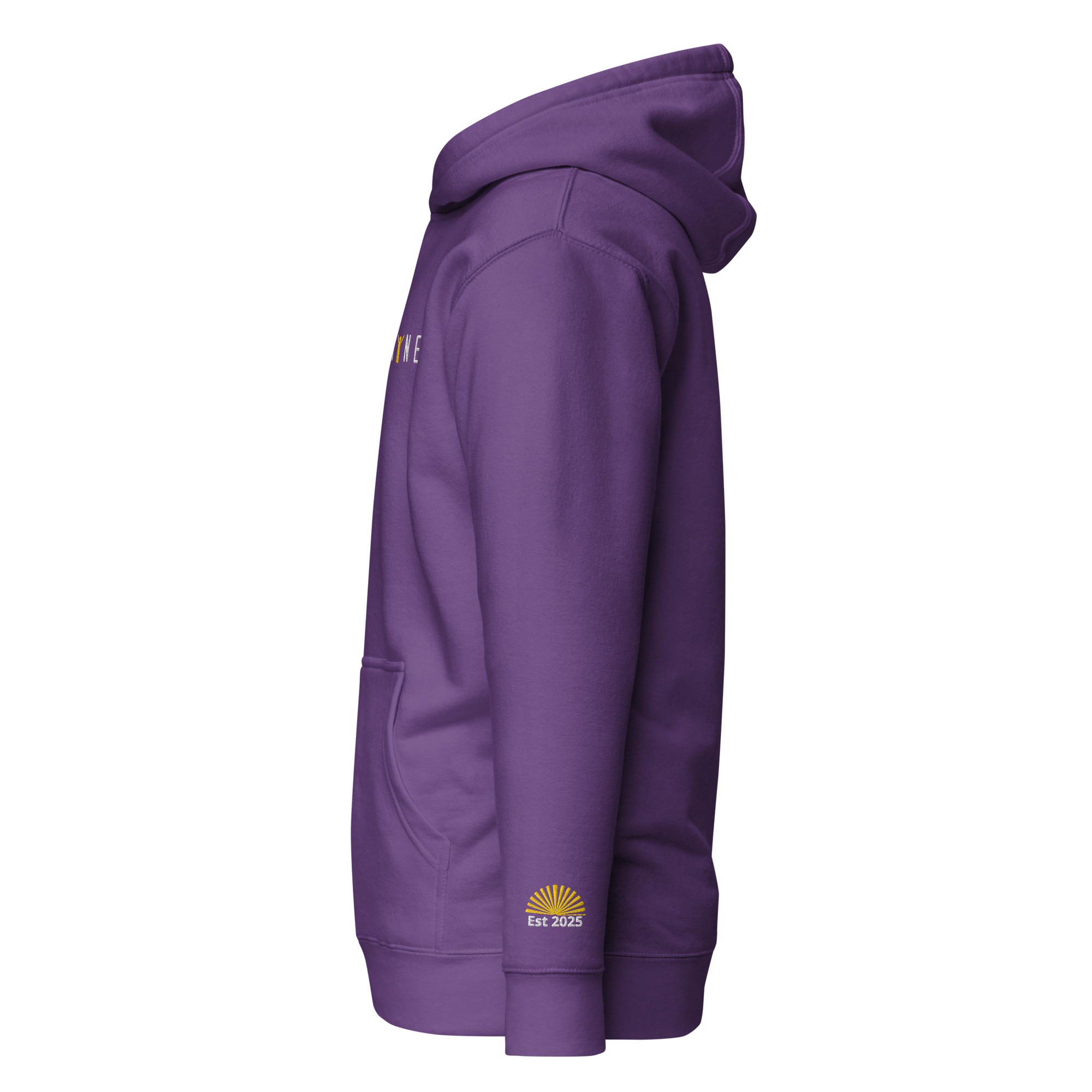 "SHINE" Unisex Hoodie – Image 24
