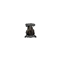 Texas Neanderthal Stickers – Image 4