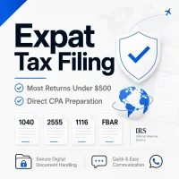 Expat Tax Filing Package – Image 1