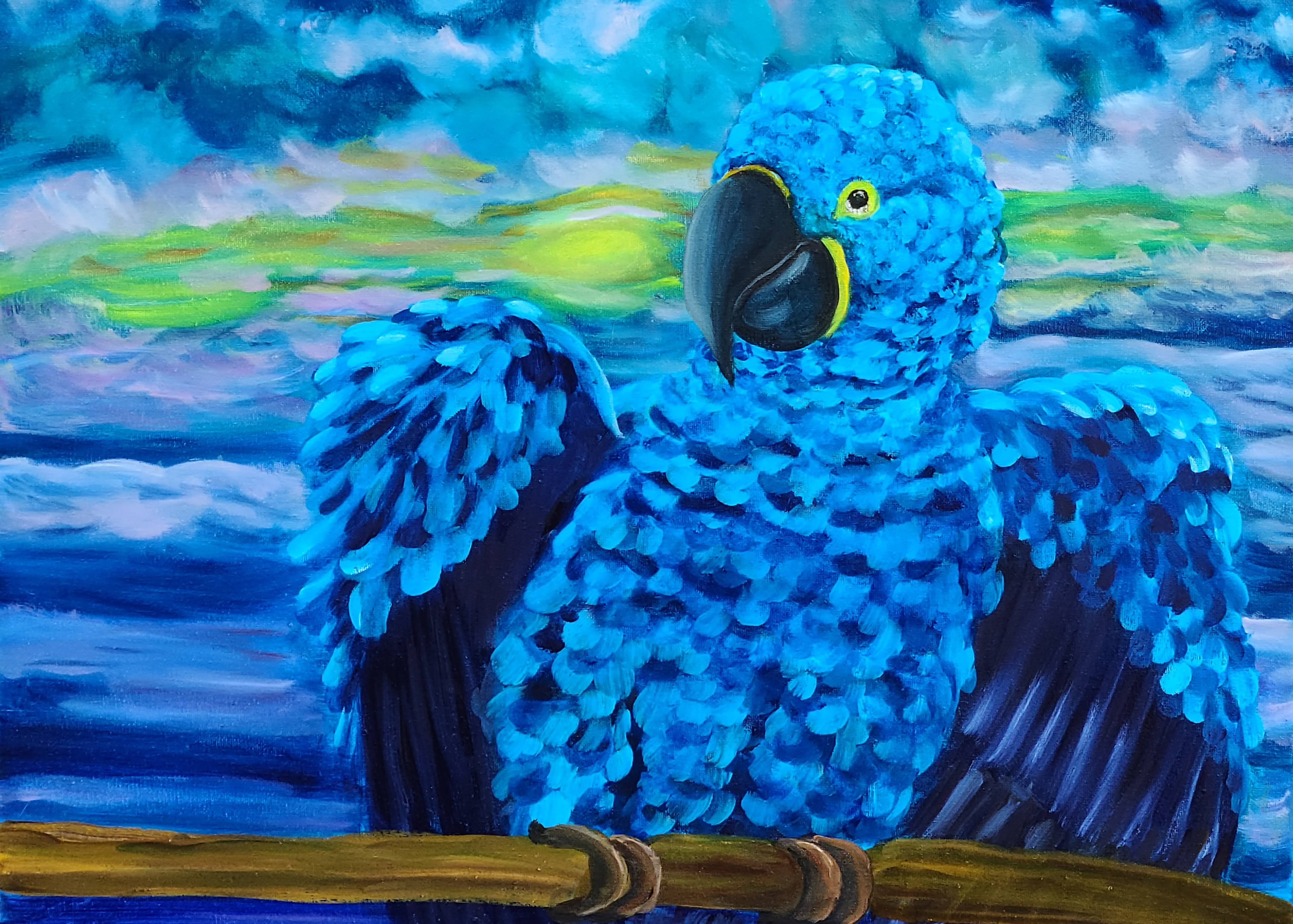 Blue Macaw Morning – Image 1