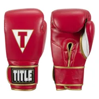 TITLE Boxeo Mexican Leather Training Gloves Quatro – Image 1
