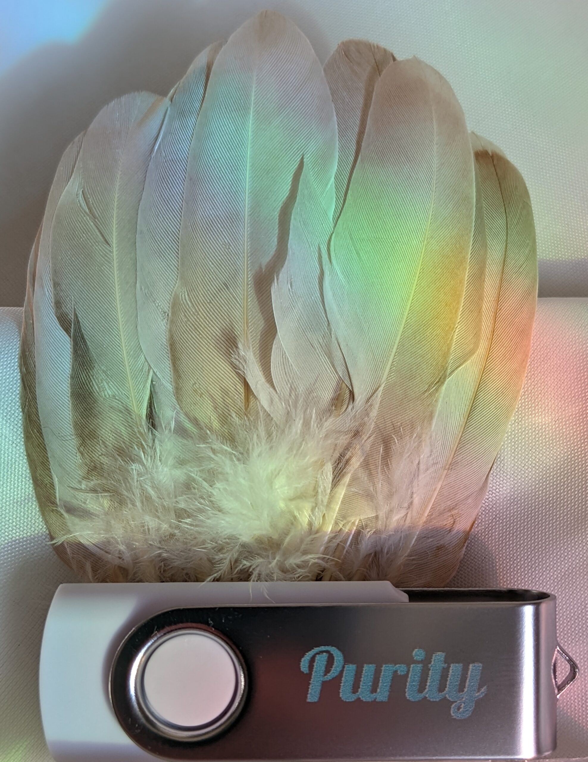 Purity – Regulation Flash Drive with Song Notes and Music *** FREE BOOK w/ PURCHASE…WHILE SUPPLIES LAST! *** – Image 2