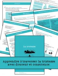 Carnet : Tristesse, deuil et lâcher-prise – Image 2