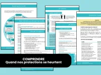 Le décodeur de conflits – Image 2