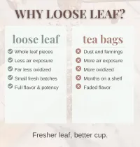 Be Still Tea – Image 8