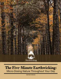 The Five-Minute Earthwicking: Micro-Dosing Nature Throughout Your Day – Image 1