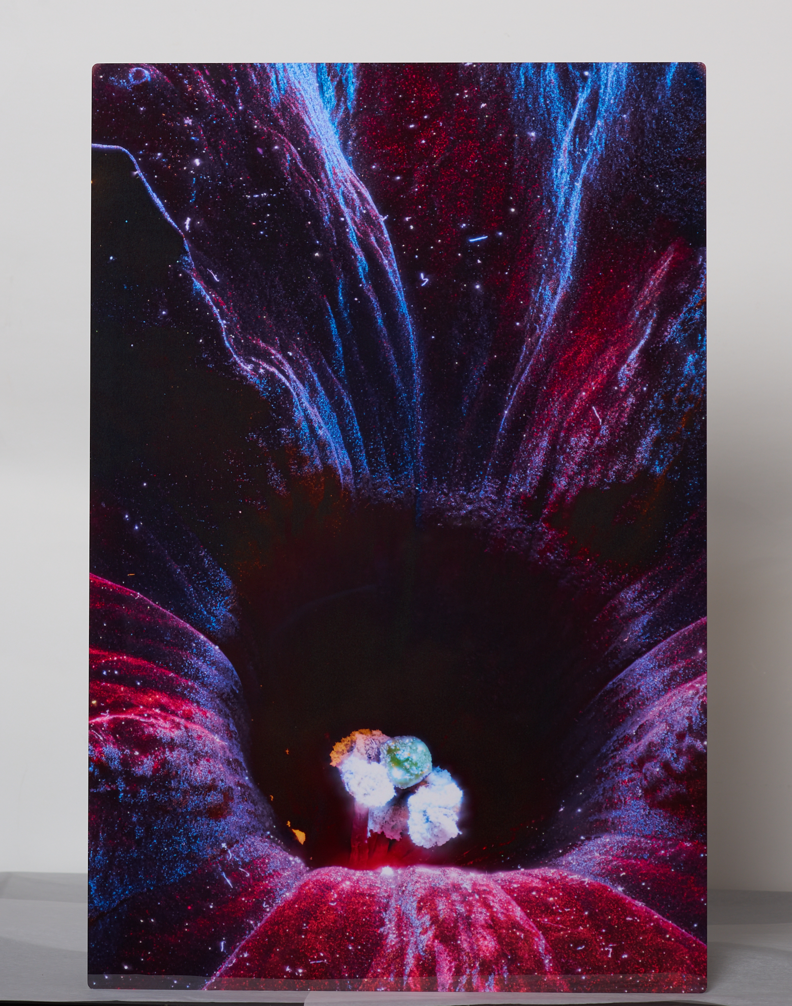 Black Mamba Petunia 1 – 8" x 12", Aluminum
