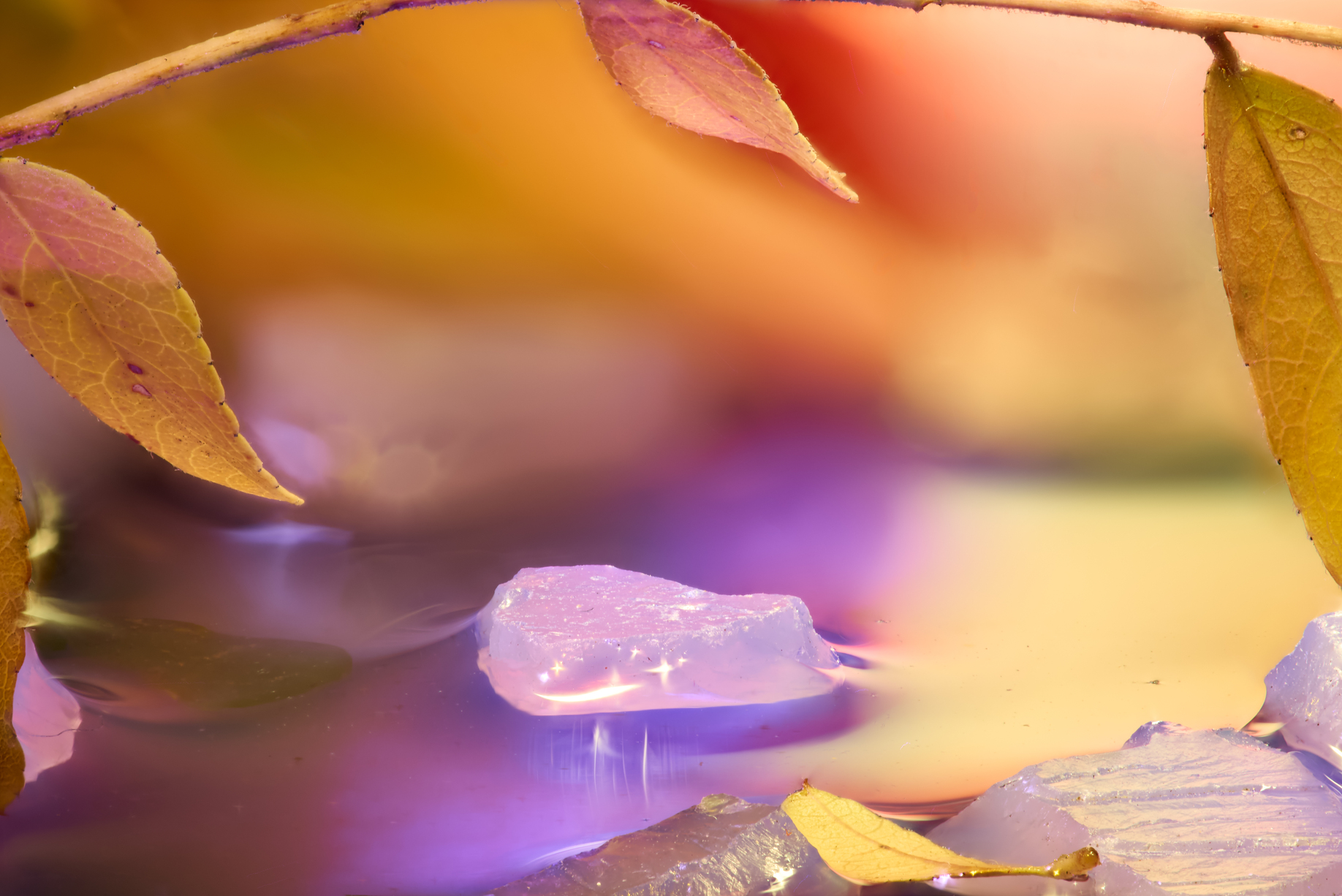 Sunset Banana Boat Leaf & Glowing Lavender Quartz – Image 1