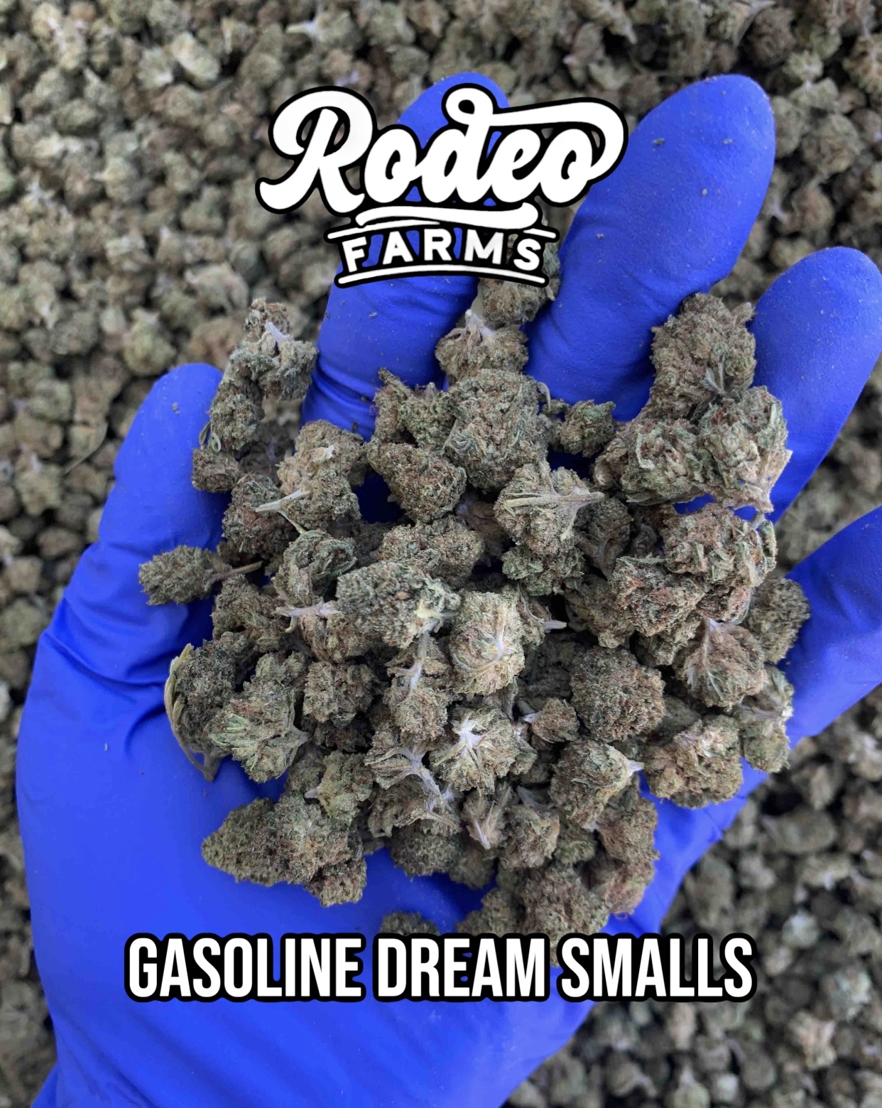 Gasoline Dream Smalls – Image 1